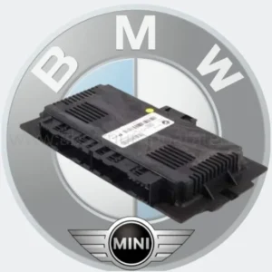 BMW / Mini FRM E1E3 / 00E1E3 Berichtfout achteruitversnelling