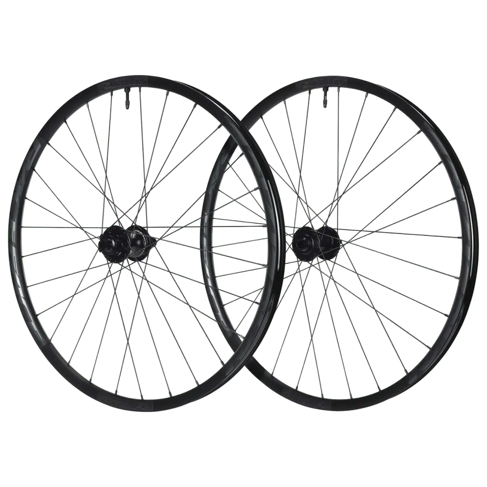 Paar RACE FACE AEFFECT R30 29" wielen 15x110mm/12x148mm Boost