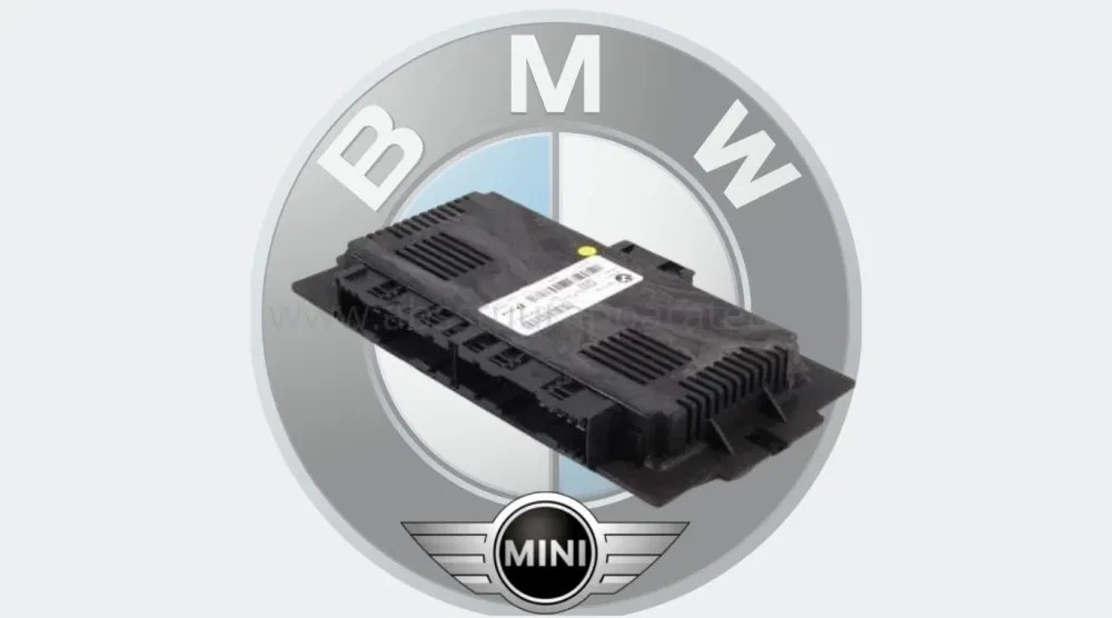 Reparatie FRM module BMW Z4 2008-2015