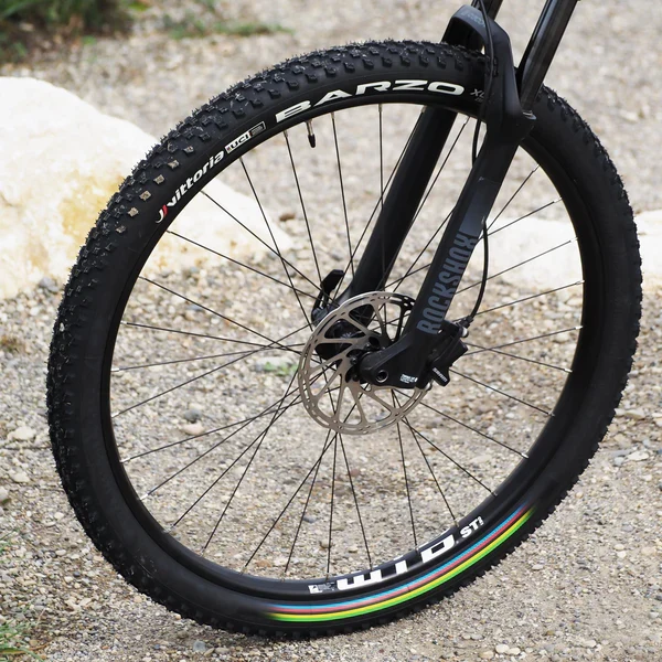 VITTORIA BARZO XC 29x2.10 "UCI Rainbow Edition" Tubeless Ready Zachte Zwarte band