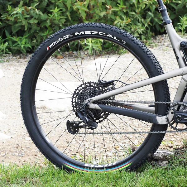 VITTORIA MEZCAL XC 29X2.25 "UCI Rainbow Edition" Tubeless Ready Zachte Zwarte band