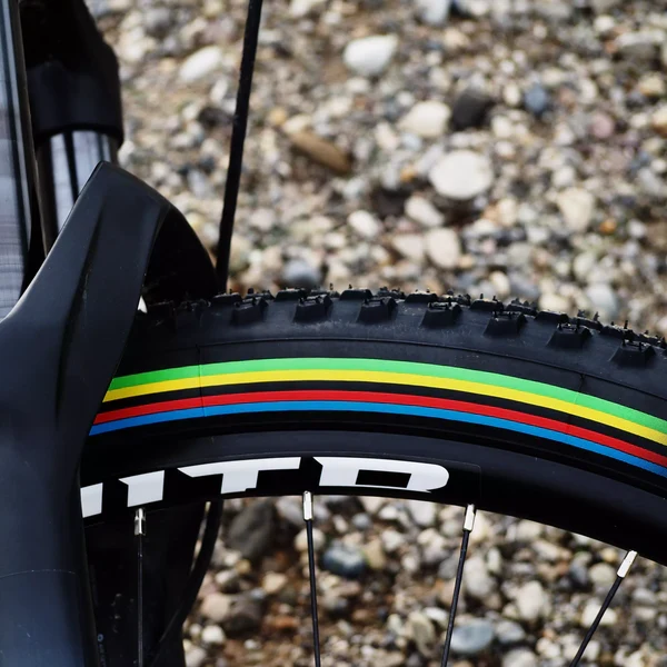 VITTORIA MEZCAL XC 29X2.35 "UCI Rainbow Edition" Tubeless Ready Zachte Zwarte band