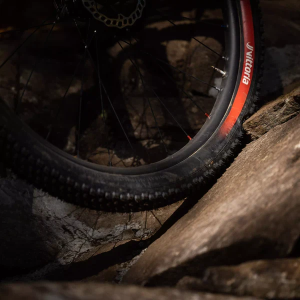 VITTORIA MOTA ENDURO RACE 29x2.40 Graphene/Silica Tubeless Ready Soft Black band
