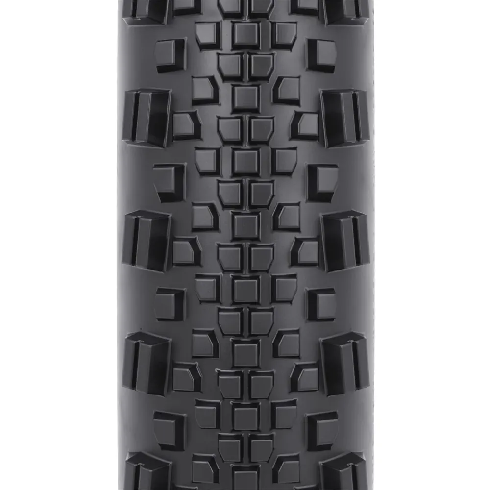 WTB RADDLER TCS LIGHT FAST ROLLING DUAL DNA SG2 700x40c Tubeless Ready Versterkt Beige band