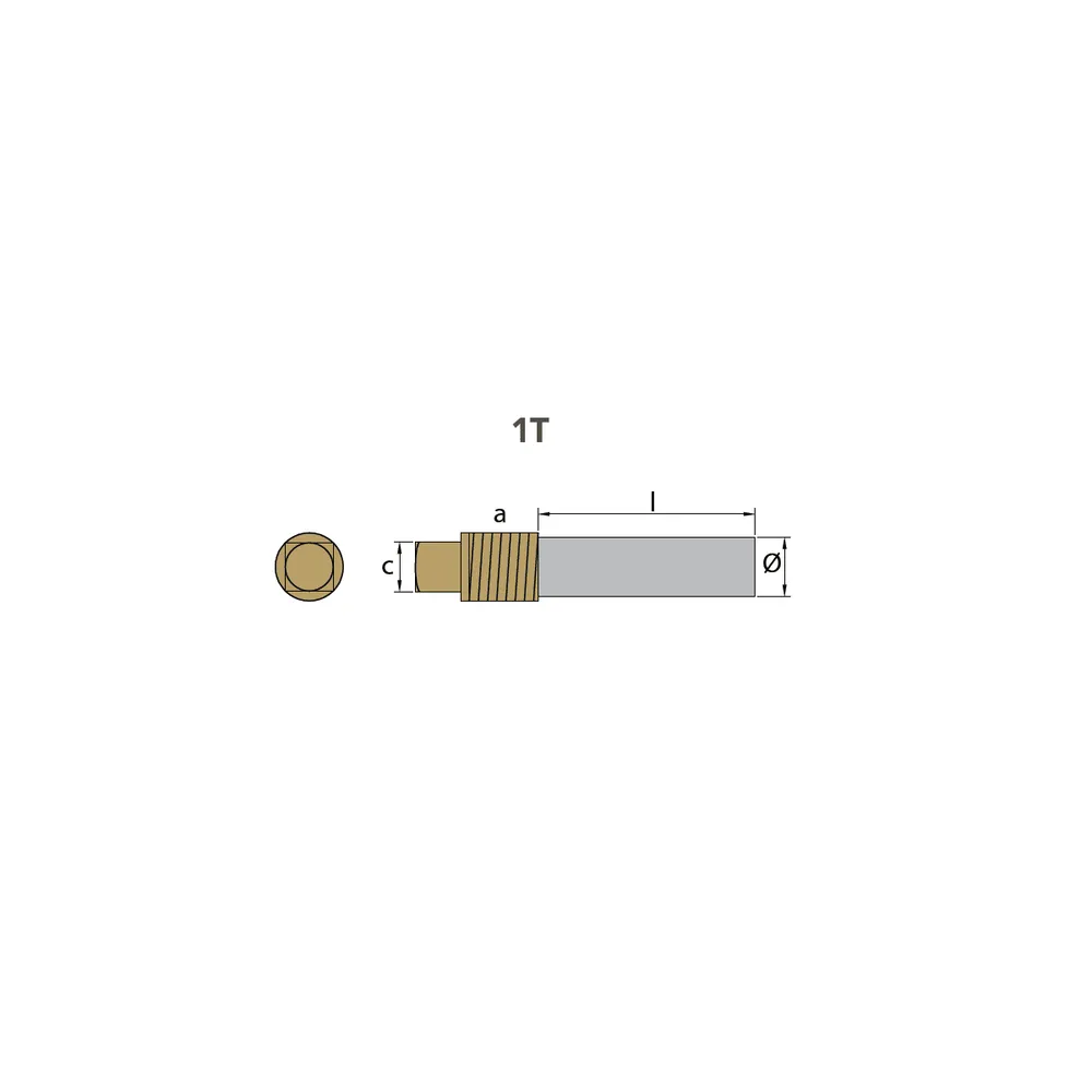 Zink Anode General Motors, ᴓ16 * 54, motor 1/2 "gas, voltooid