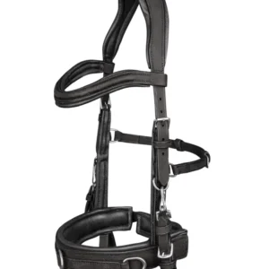 Anatomic Cavesson Zwart X-Full met kleurmatch voor automerk