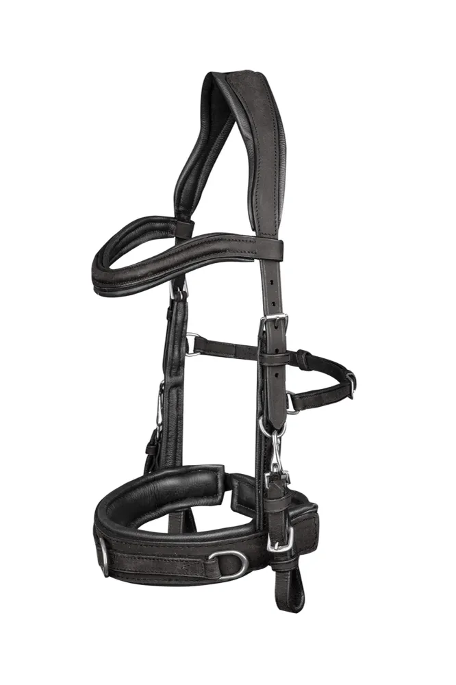 Anatomic Cavesson Zwart X-Full met kleurmatch voor automerk