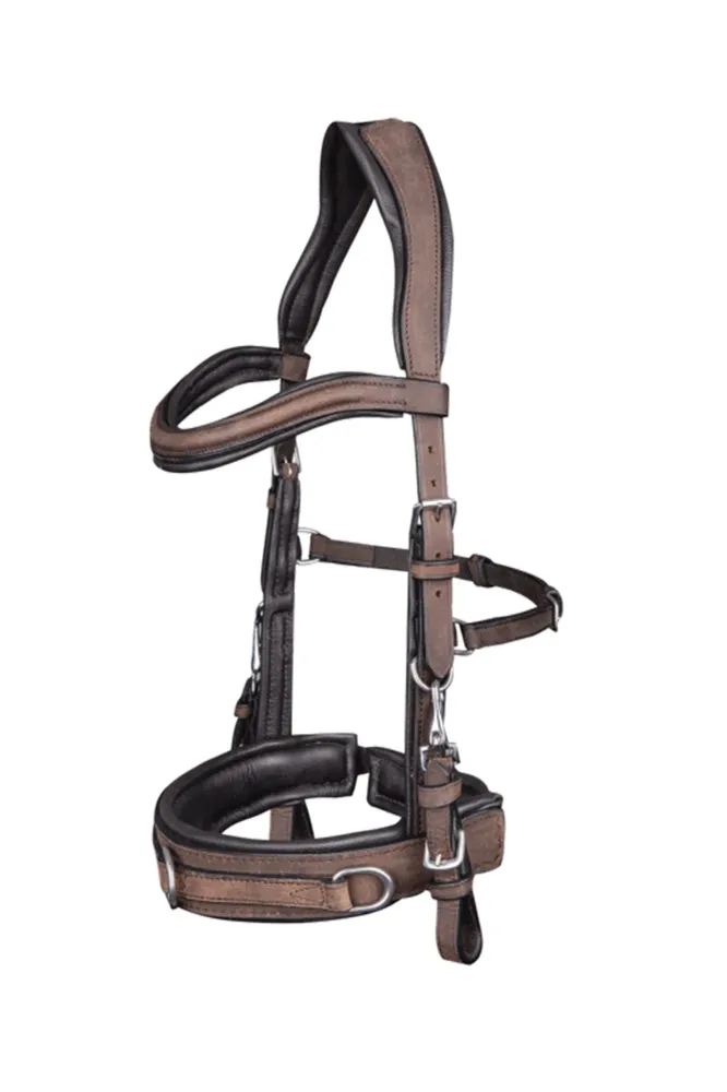 Knipperlicht Anatomic Cavesson Bruin X-Full