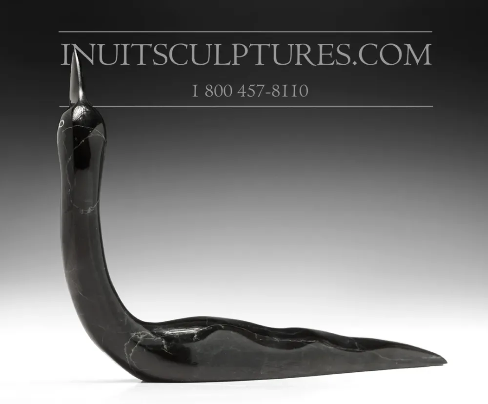 10" Black Loon Ning Ashoona