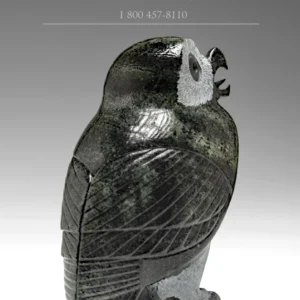 5" Dark Owl Pitseolak (Pits) Qimirpik | Snelle Levering
