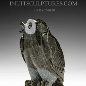 6.5" Owl Pitseolak (Pits) Qimirpik met 2 Jaar Garantie