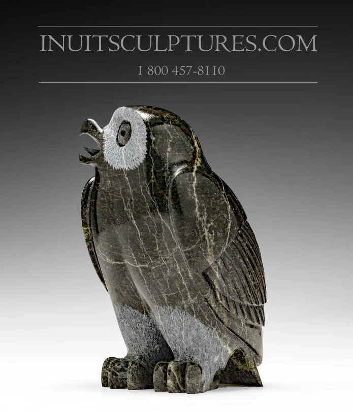 6.5" Owl Pitseolak (Pits) Qimirpik met 2 Jaar Garantie