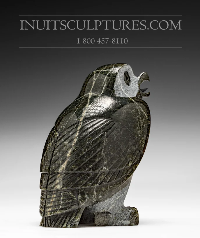 6.5" Owl Pitseolak (Pits) Qimirpik met 2 Jaar Garantie