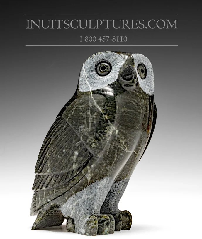 6.5" Owl Pitseolak (Pits) Qimirpik met 2 Jaar Garantie