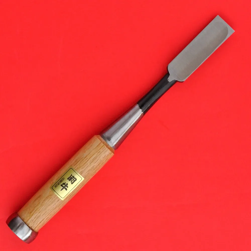 Professioneel Grade 18mm Japanese Tōgyū Chisel oire nomi